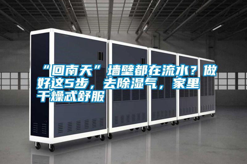 “回南天”墻壁都在流水？做好這5步，去除濕氣，家里干燥忒舒服