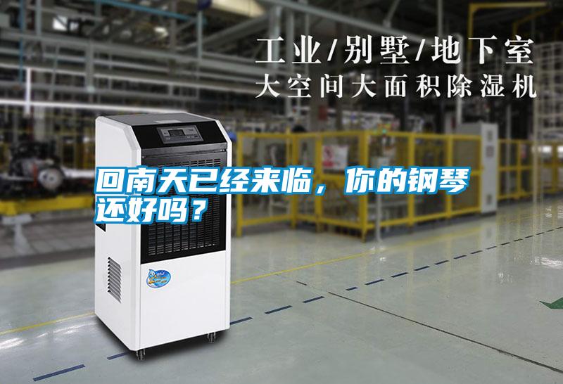 回南天已經來臨，你的鋼琴還好嗎？