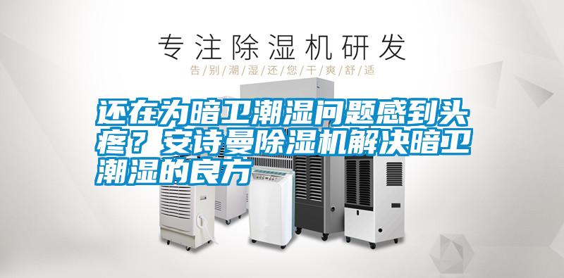 還在為暗衛潮濕問題感到頭疼？安詩曼除濕機解決暗衛潮濕的良方