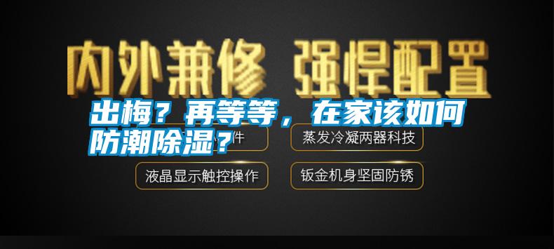 出梅？再等等，在家該如何防潮除濕？