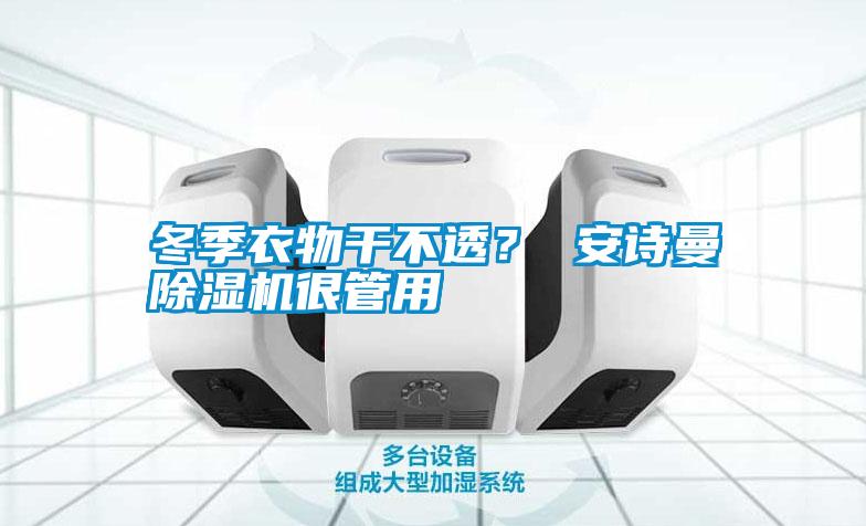 冬季衣物干不透？ 安詩曼除濕機很管用