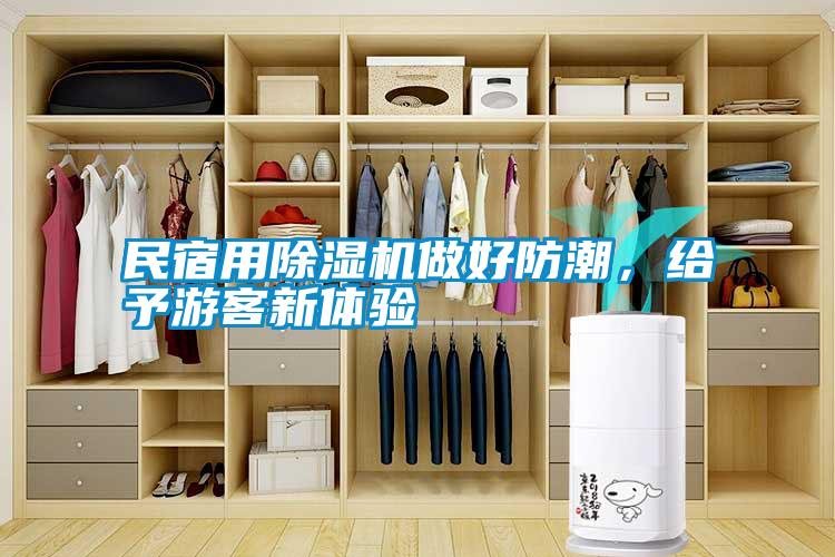 民宿用除濕機做好防潮，給予游客新體驗