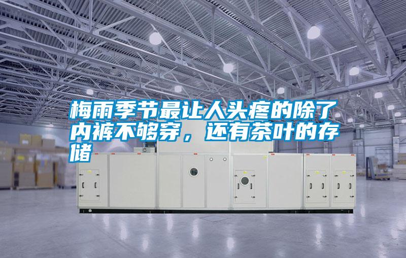 梅雨季節最讓人頭疼的除了內褲不夠穿，還有茶葉的存儲