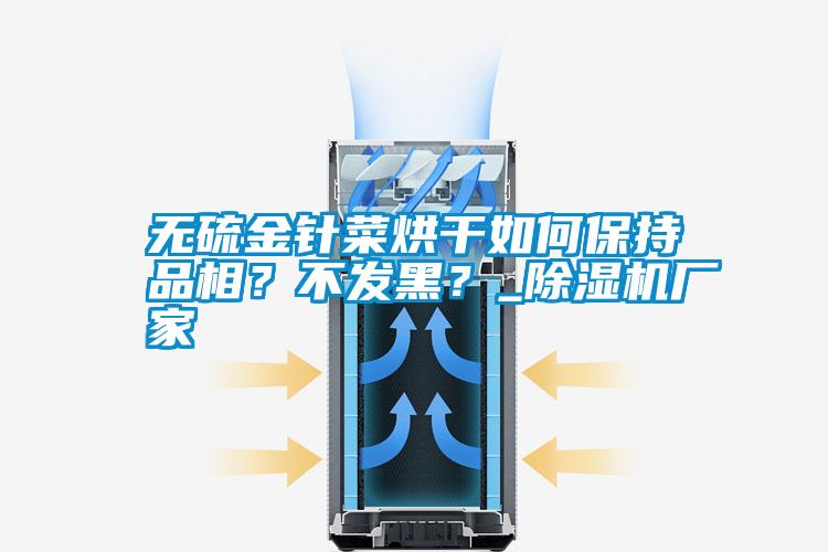 無硫金針菜烘干如何保持品相？不發黑？_除濕機廠家