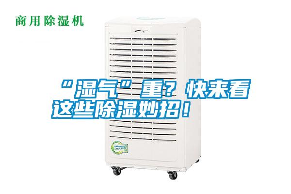 “濕氣”重？快來看這些除濕妙招！