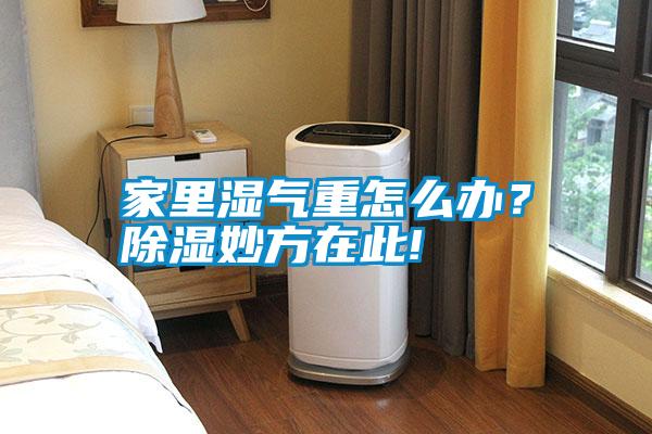 家里濕氣重怎么辦？除濕妙方在此!