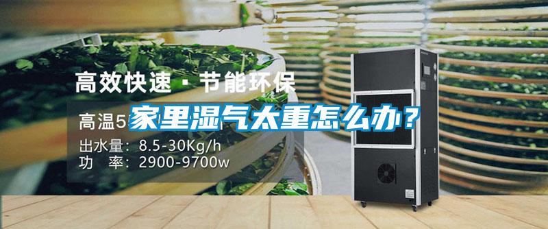 家里濕氣太重怎么辦？