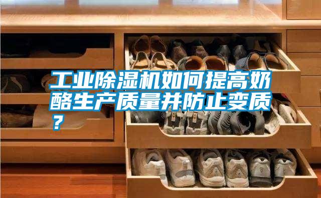 工業除濕機如何提高奶酪生產質量并防止變質？