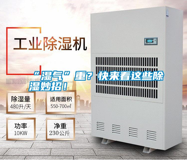 “濕氣”重？快來看這些除濕妙招！