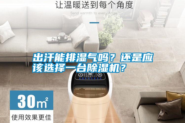 出汗能排濕氣嗎？還是應該選擇一臺除濕機？