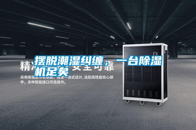 擺脫潮濕糾纏，一臺除濕機足矣