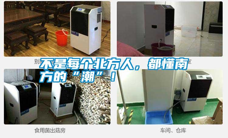 不是每個北方人，都懂南方的“潮”！