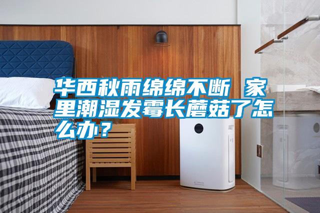 華西秋雨綿綿不斷 家里潮濕發霉長蘑菇了怎么辦？