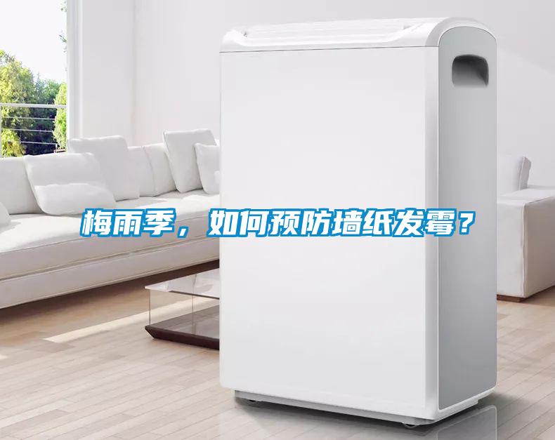 梅雨季，如何預防墻紙發霉？
