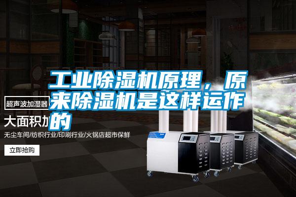 工業除濕機原理，原來除濕機是這樣運作的