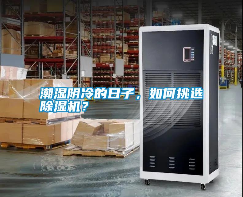 潮濕陰冷的日子，如何挑選除濕機？