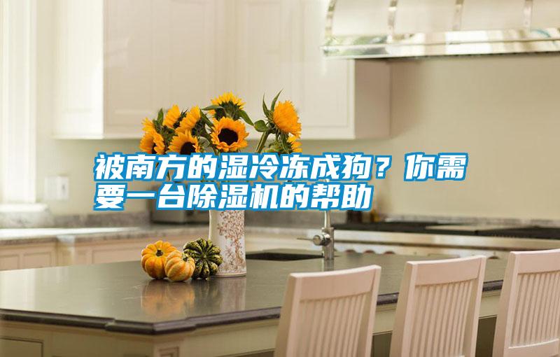 被南方的濕冷凍成狗？你需要一臺除濕機的幫助