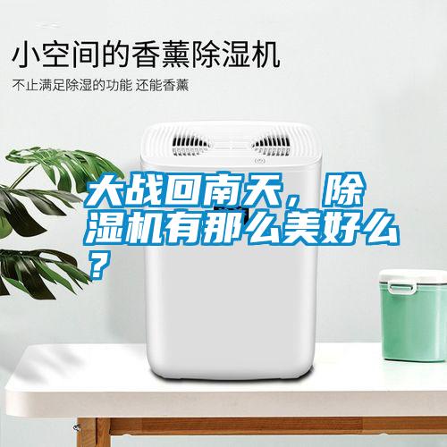 大戰回南天，除濕機有那么美好么？