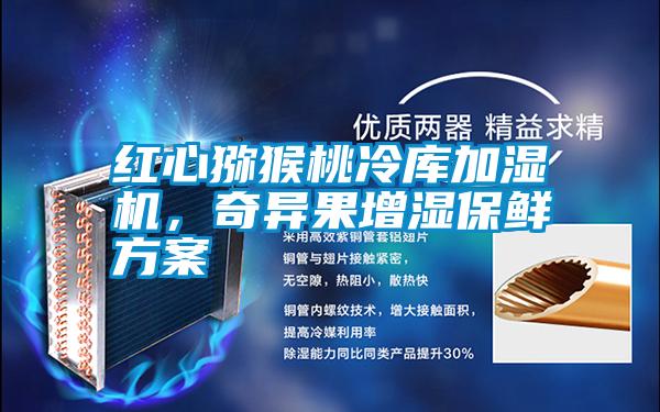 紅心獼猴桃冷庫加濕機，奇異果增濕保鮮方案