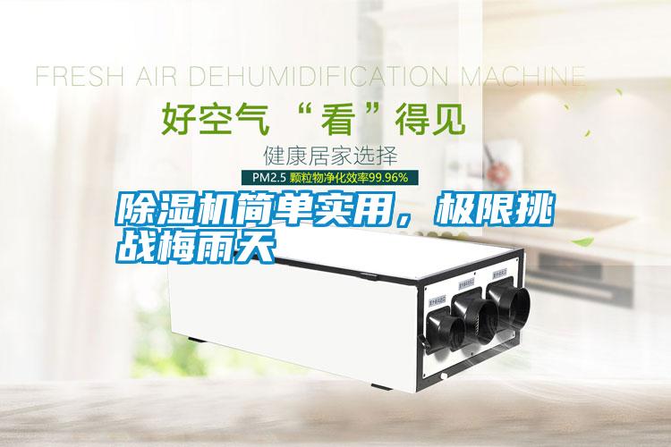 除濕機簡單實用，極限挑戰梅雨天