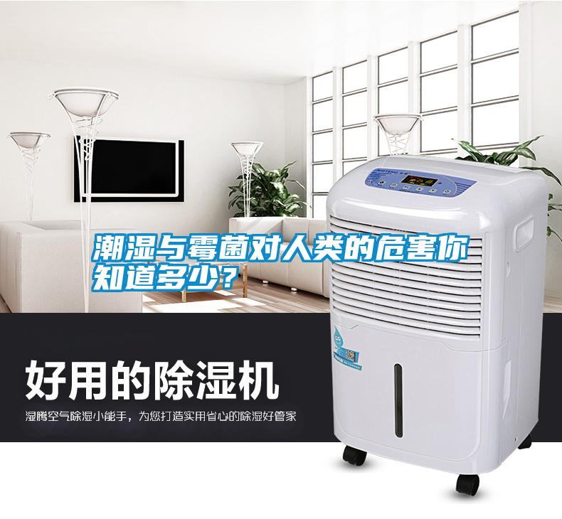 潮濕與霉菌對人類的危害你知道多少？
