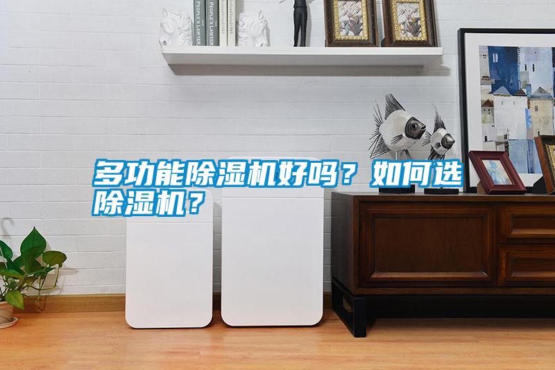 多功能除濕機好嗎？如何選除濕機？