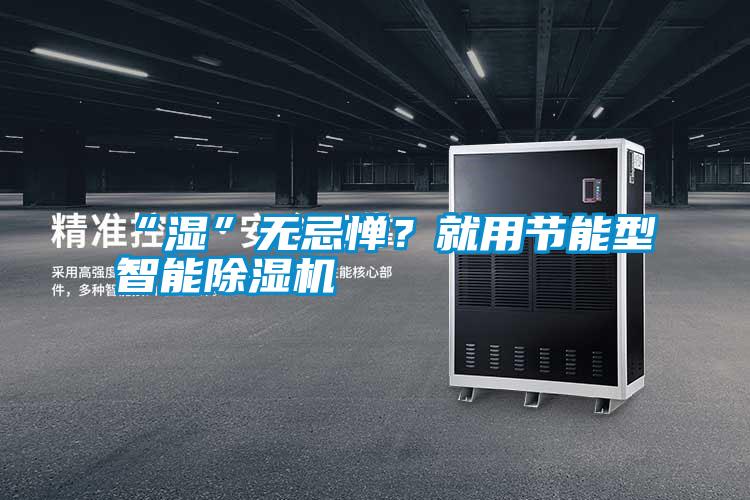 “濕”無忌憚？就用節能型智能除濕機