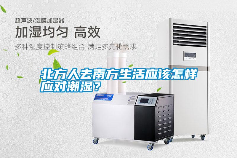 北方人去南方生活應該怎樣應對潮濕？