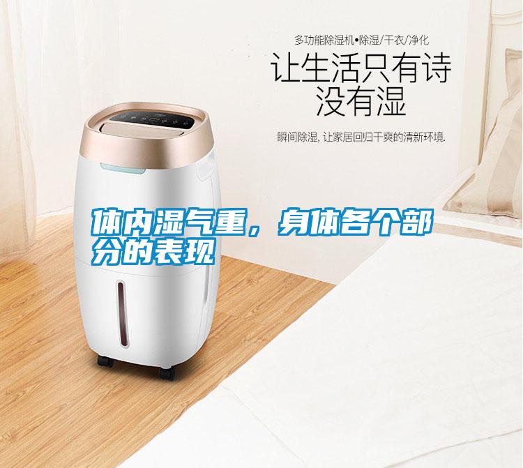 體內濕氣重，身體各個部分的表現