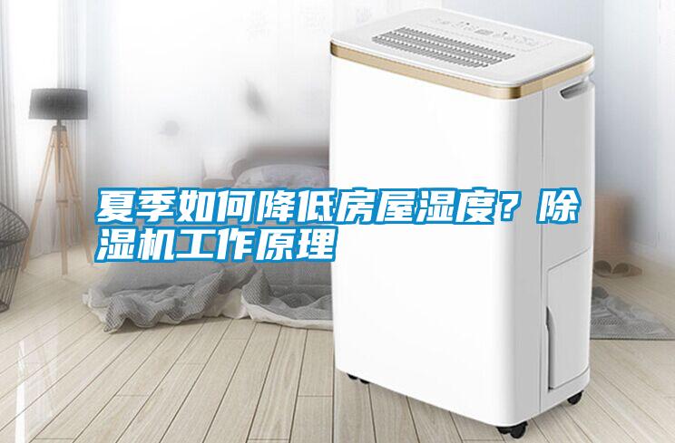 夏季如何降低房屋濕度？除濕機工作原理
