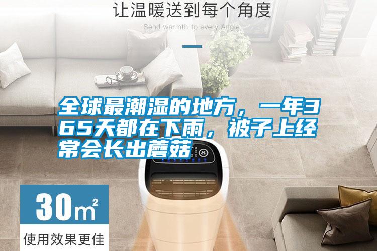 全球最潮濕的地方，一年365天都在下雨，被子上經常會長出蘑菇