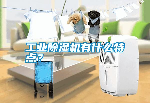 工業除濕機有什么特點？