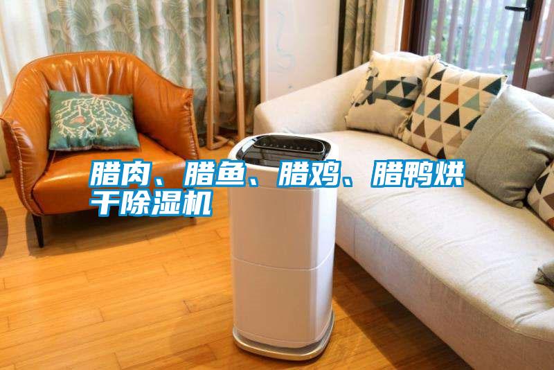 臘肉、臘魚、臘雞、臘鴨烘干除濕機