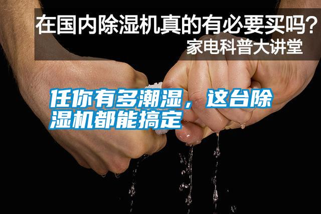 任你有多潮濕，這臺除濕機都能搞定
