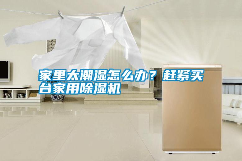 家里太潮濕怎么辦？趕緊買臺家用除濕機