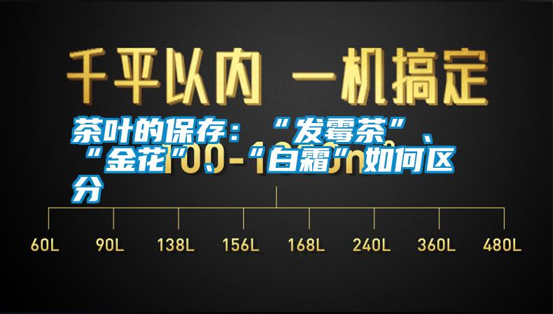 茶葉的保存：“發霉茶”、“金花”、“白霜”如何區分