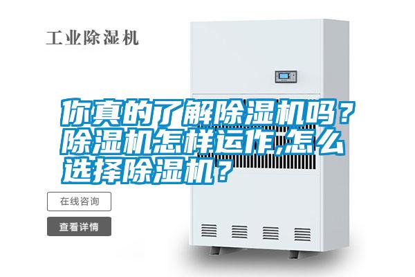 你真的了解除濕機嗎？除濕機怎樣運作,怎么選擇除濕機？