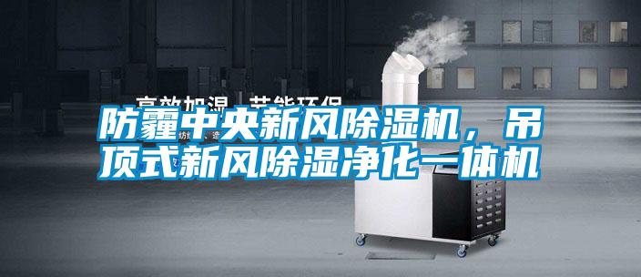 防霾中央新風除濕機，吊頂式新風除濕凈化一體機