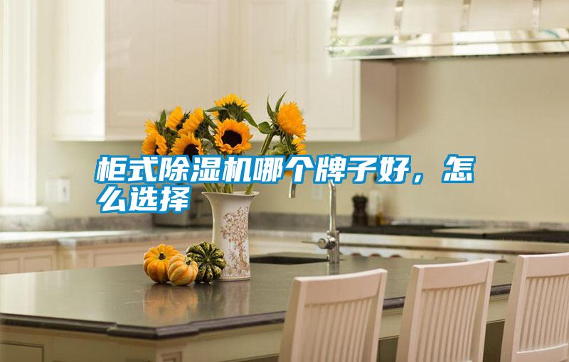 柜式除濕機哪個牌子好，怎么選擇