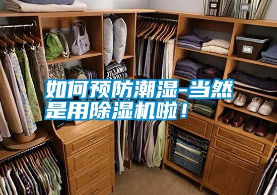 如何預防潮濕-當然是用除濕機啦！