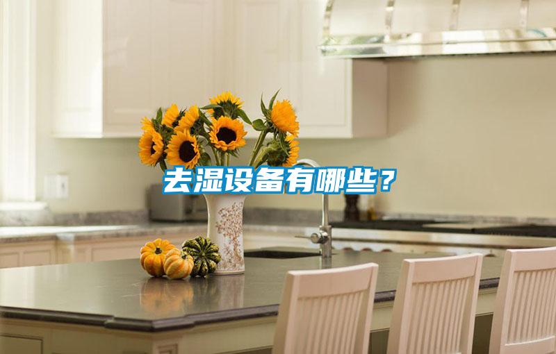 去濕設備有哪些？