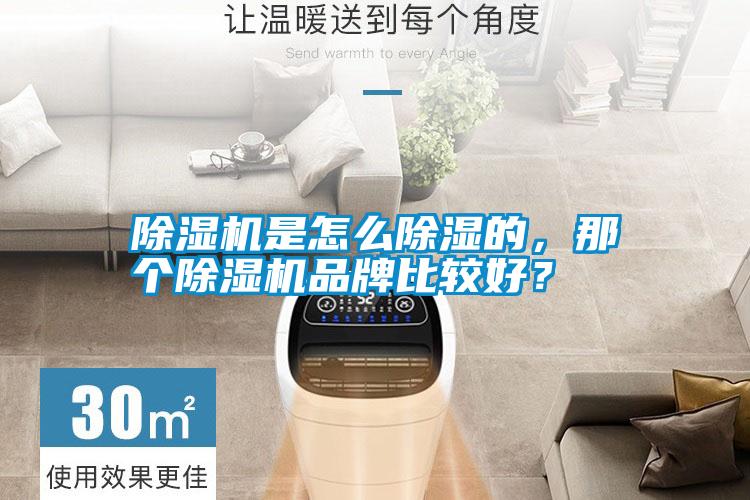 除濕機是怎么除濕的，那個除濕機品牌比較好？