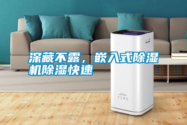 深藏不露，嵌入式除濕機除濕快速