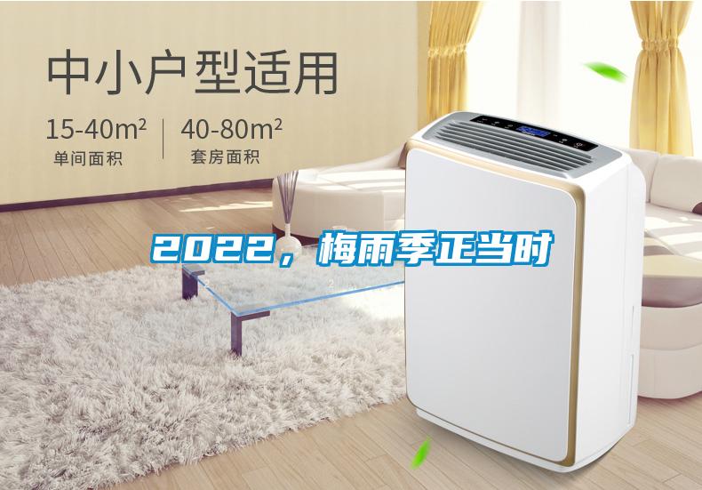 2022，梅雨季正當時