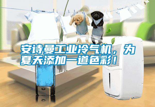 安詩曼工業冷氣機，為夏天添加一道色彩！