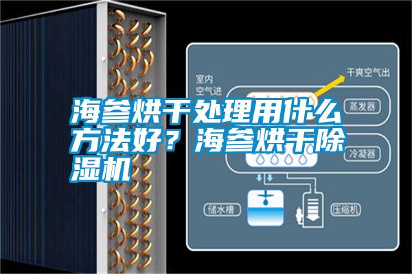 海參烘干處理用什么方法好？海參烘干除濕機