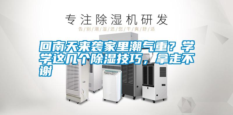 回南天來襲家里潮氣重？學學這幾個除濕技巧，拿走不謝