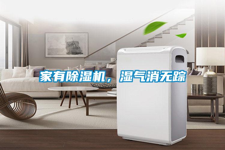 家有除濕機，濕氣消無蹤
