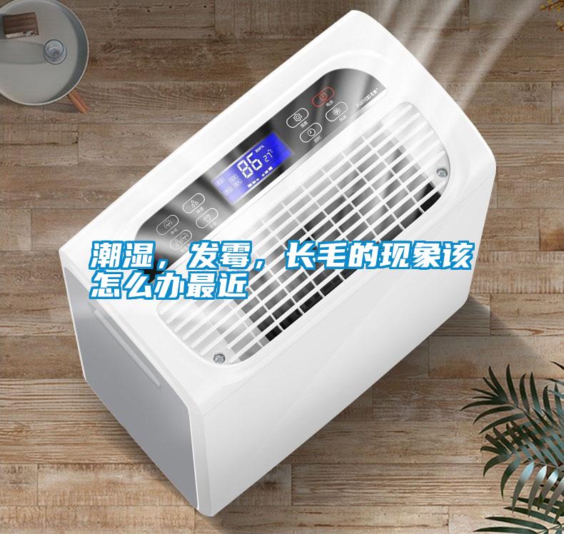 潮濕，發霉，長毛的現象該怎么辦最近