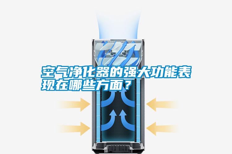 空氣凈化器的強大功能表現在哪些方面？